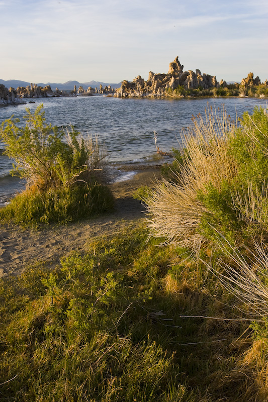 Shoreline Of Mono Lake